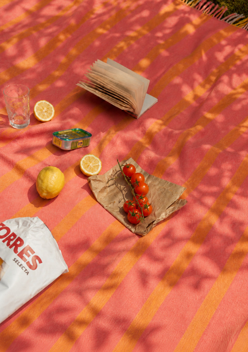 Recycled Wool Picnic Blanket in Orange Frame Stripe